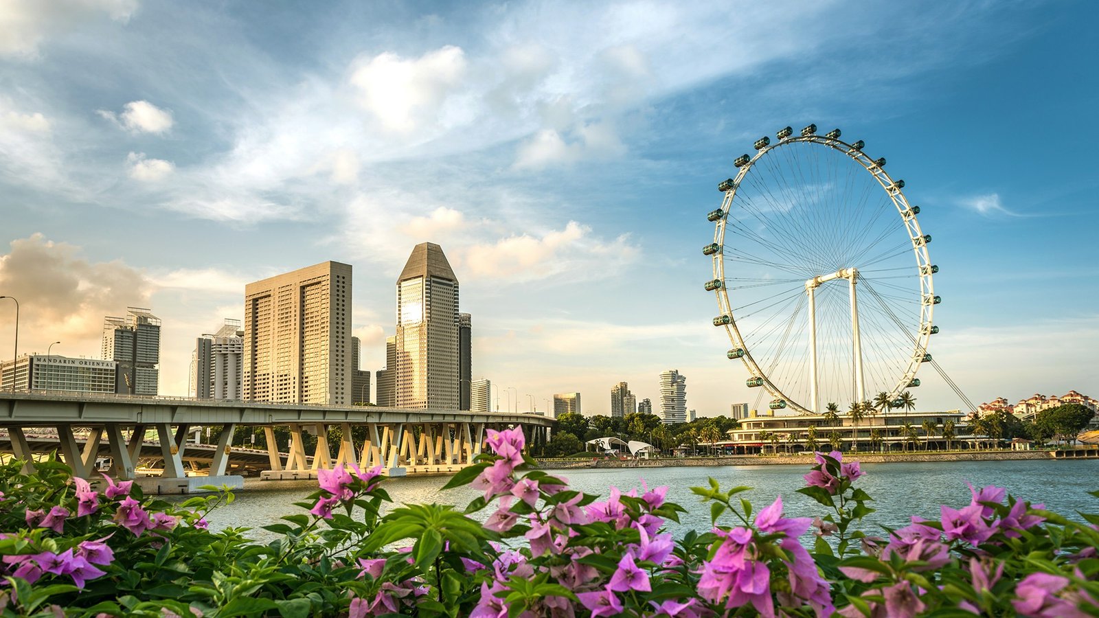 Best Attractions in Singapore: A Complete Travel Guide 1 best attractions in Singapore